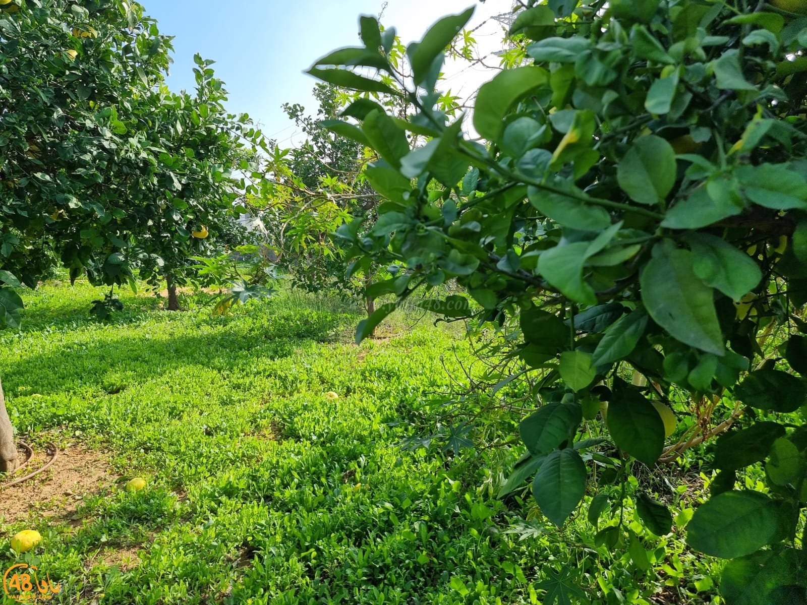 WhatsApp Image 2022-01-08 at 1.29.42 PM (1).jpg